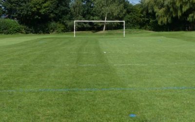 QEII Playing Fields – new path construction to start