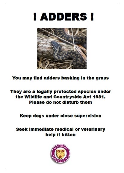 Poster with photo of an adder and warning message about adders basking in grass.