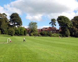 Invitation to Quote: Tree Surgery, Lilliput Park, Chipping Sodbury