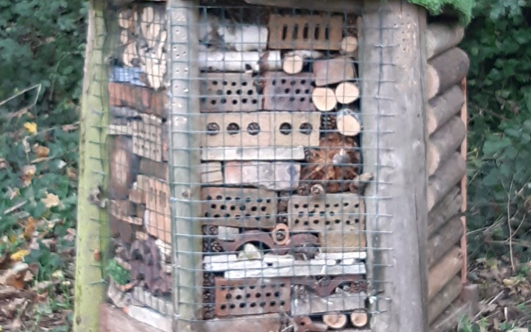 A bug hotel stands in a park, it is made of timber and recycled materials, it has a green felt roof.