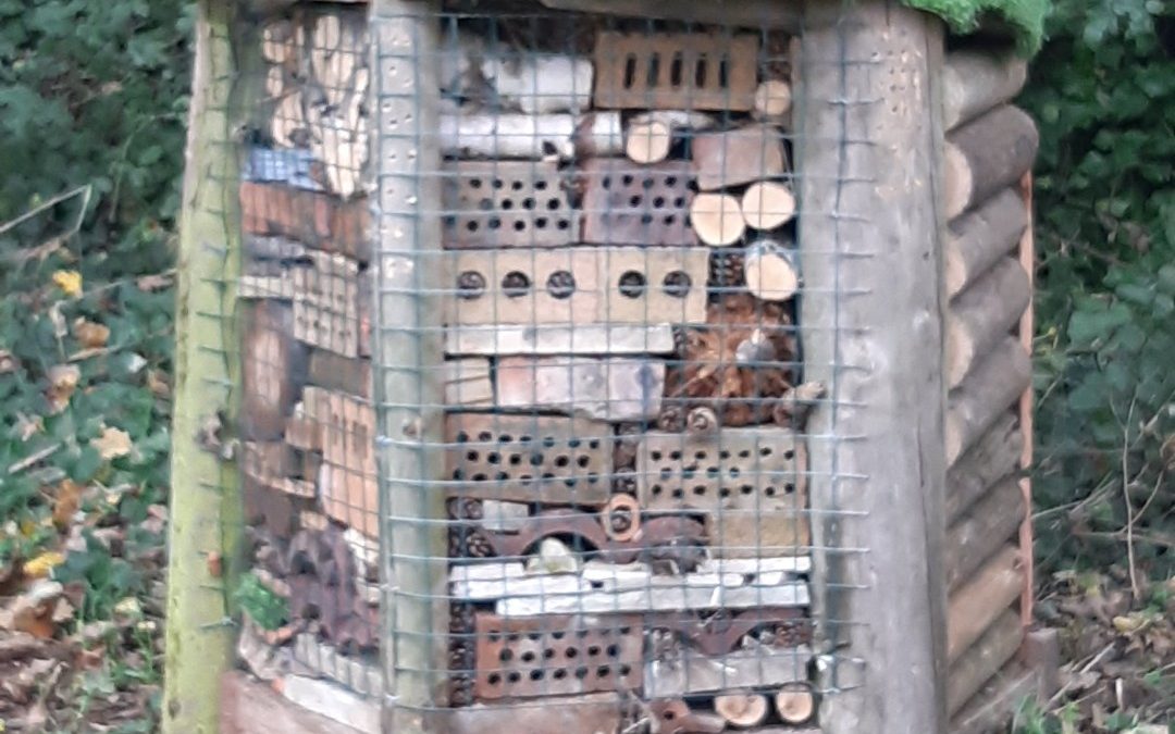 New Bug Hotel for Lilliput Park