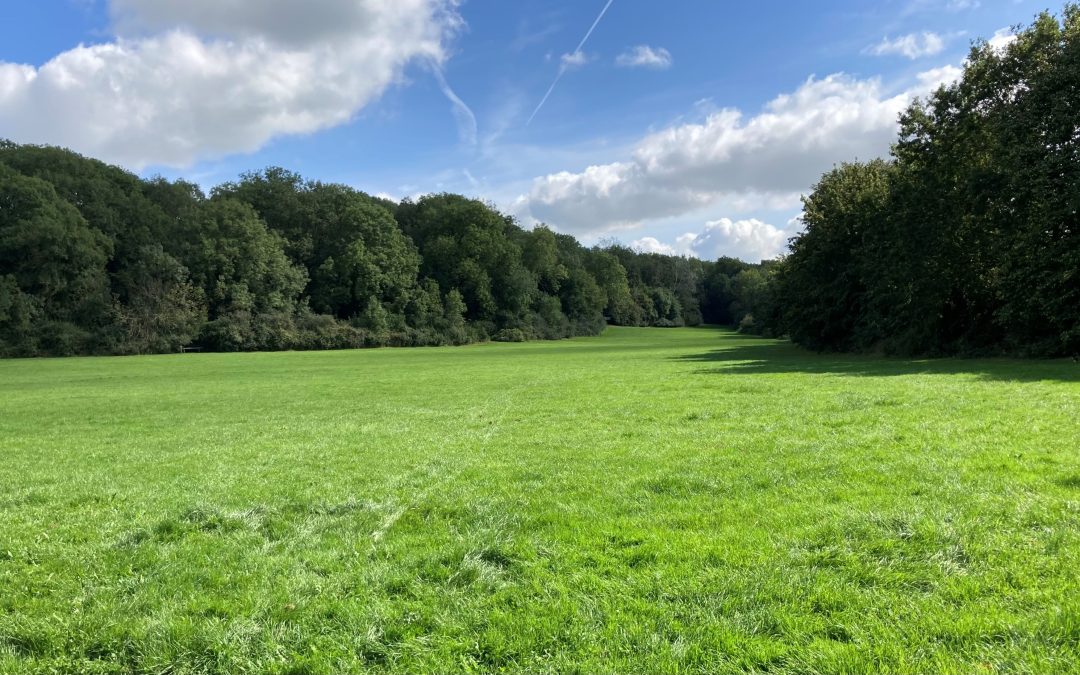 Wapley Bushes Nature Reserve Tree Works Autumn/Winter 2024 Dodington PC