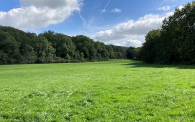 New accessible picnic bench for Wapley Common