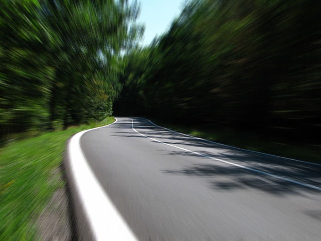 A tarmac road lined with green trees.
