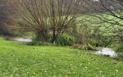 Tender Opportunity – Grounds Maintenance / Grass Cutting